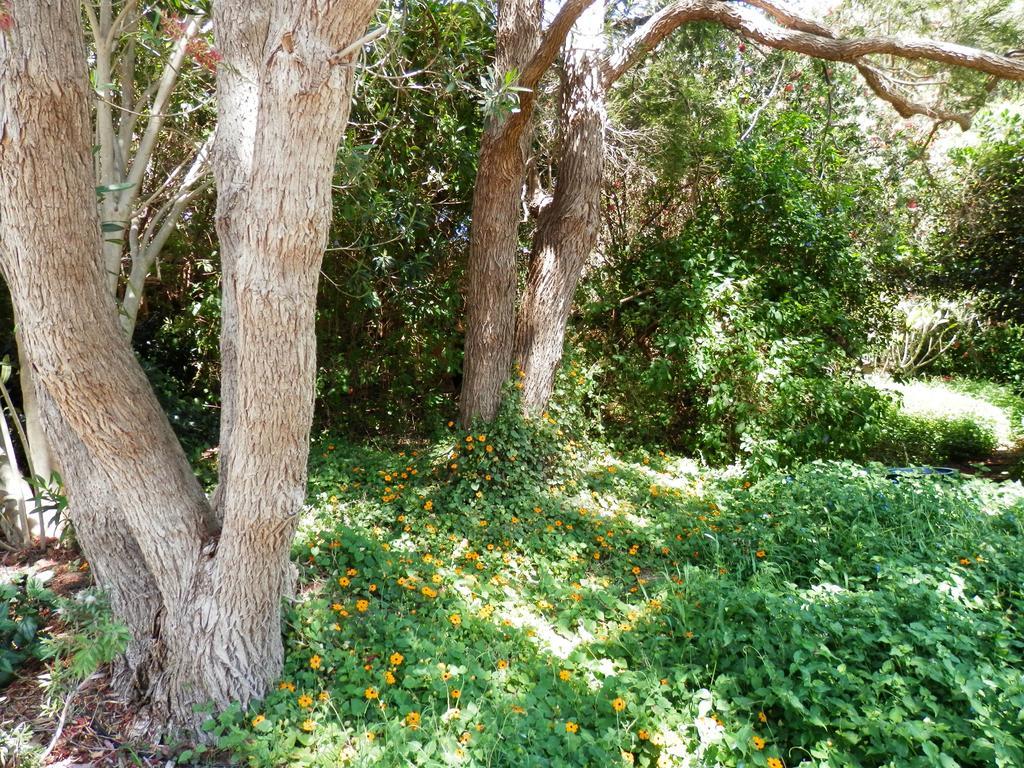 The Hideaway Luxury B&B Retreat Armadale Bagian luar foto