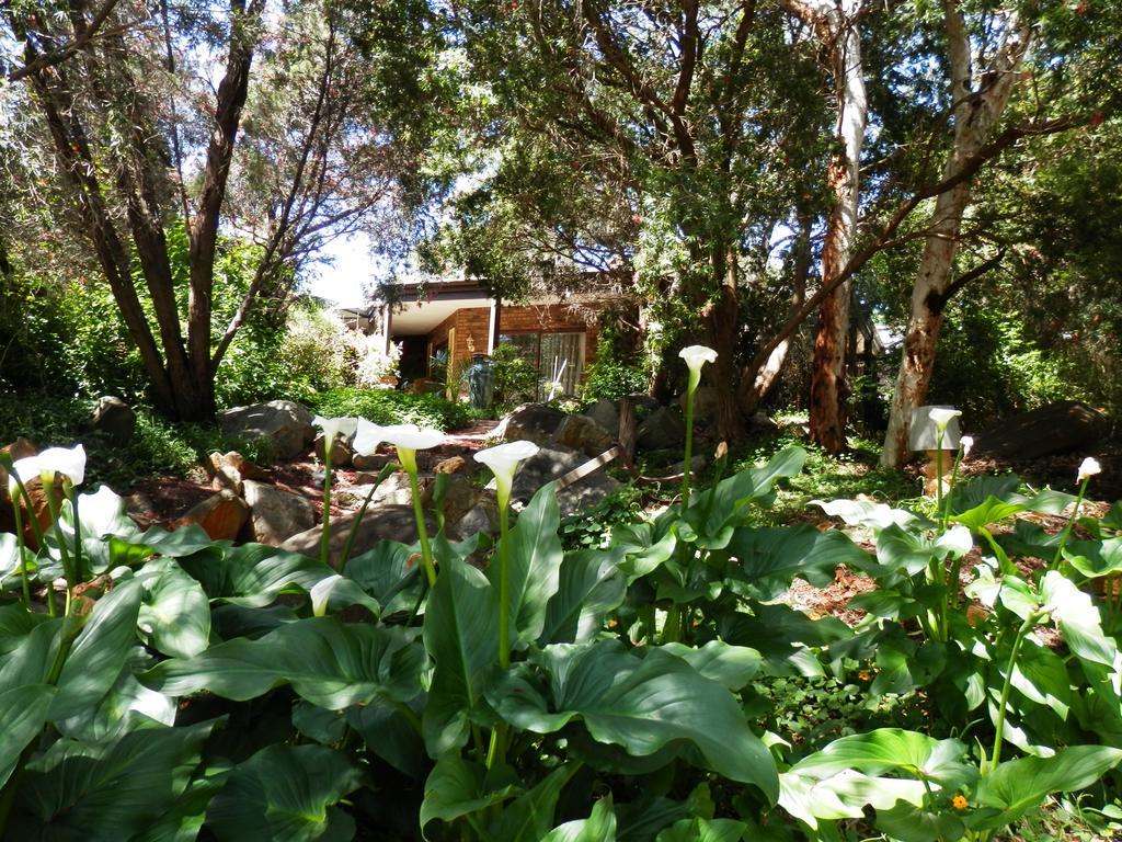 The Hideaway Luxury B&B Retreat Armadale Bagian luar foto